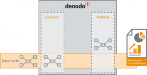 Data-Virtualization