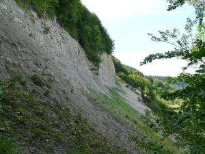 Landslide-data-natural-disaster