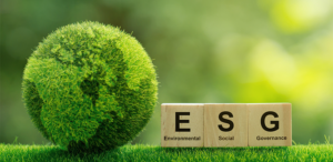 The Prudent Pursuit of ESG Initiatives for Data-Driven Organizations